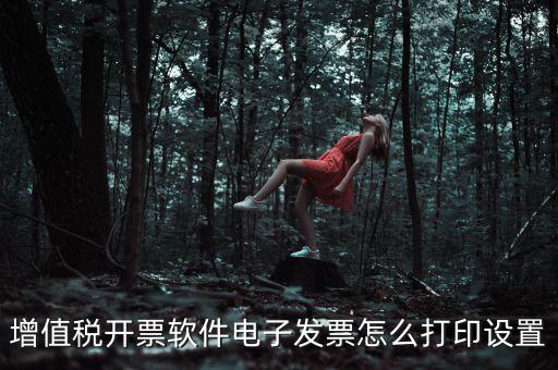 電子發(fā)票如何設置，acdsee5怎樣修改電子發(fā)票