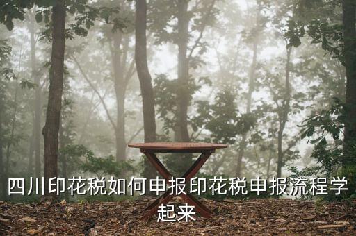 四川企業(yè)地稅如何網(wǎng)上申報(bào)，四川地稅企業(yè)所得稅怎么申報(bào)