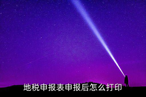 地稅如何打印申報(bào)表，地稅納稅申報(bào)表怎么打印
