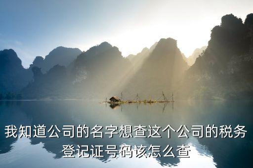 山東 如何查企業(yè)稅務(wù)信息查詢，我知道公司的名字想查這個(gè)公司的稅務(wù)登記證號(hào)碼該怎么查