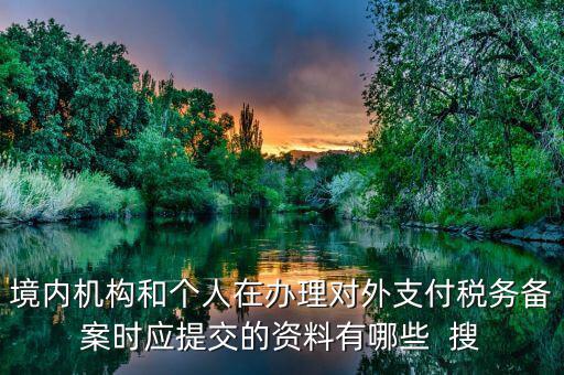 如何填列對(duì)外支付稅務(wù)備案表，境內(nèi)機(jī)構(gòu)和個(gè)人在辦理對(duì)外支付稅務(wù)備案時(shí)應(yīng)提交的資料有哪些  搜
