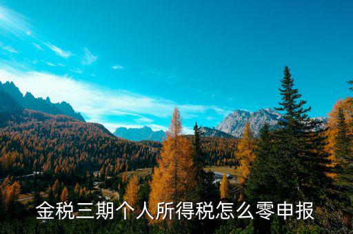 金稅三期個(gè)人所得稅如何零申報(bào)表，金稅三期個(gè)人所得稅零申報(bào)流程