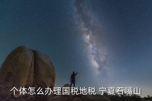 寧夏個(gè)稅如何申報(bào)，個(gè)體怎么辦理國(guó)稅地稅 寧夏石嘴山