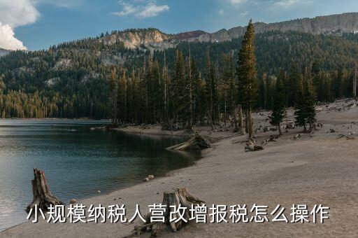 營(yíng)改增后建筑業(yè)小規(guī)模納稅人如何報(bào)稅，營(yíng)改增后小規(guī)模的怎么報(bào)稅
