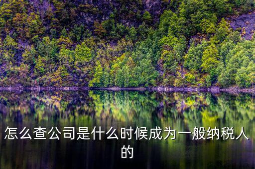 如何查詢一般人納稅認(rèn)定時(shí)間，怎么查公司是什么時(shí)候成為一般納稅人的