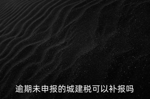 逾期未申報的城建稅可以補報嗎