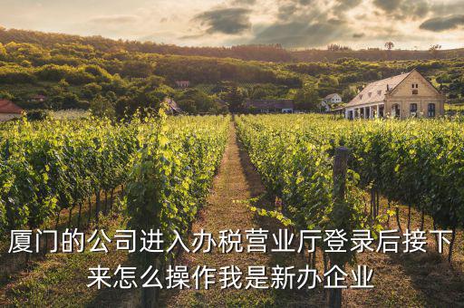 廈門(mén)公司如何辦理稅務(wù)，廈門(mén)公司如何申請(qǐng)一般納稅人