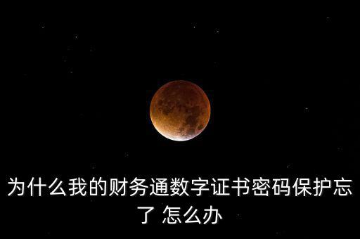 為什么我的財務通數字證書密碼保護忘了 怎么辦
