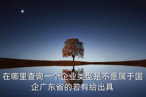 單位類型如何查詢，如何查詢企業(yè)管理類別