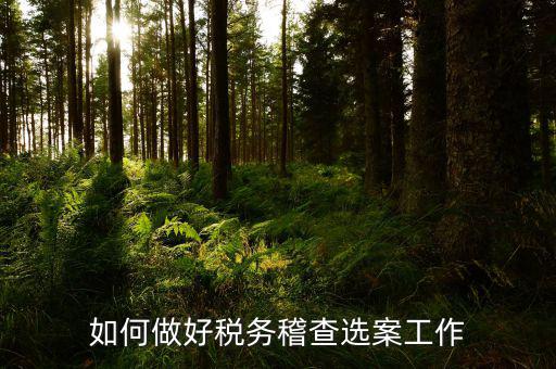 如何做到依法治稅總結(jié)，如何做好稅務(wù)稽查選案工作