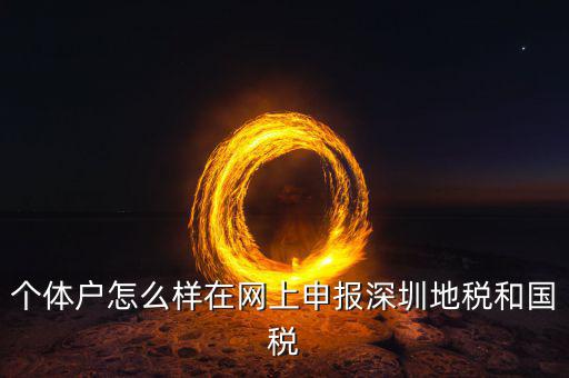 深圳市個(gè)稅如何申報(bào)系統(tǒng)，個(gè)體戶怎么樣在網(wǎng)上申報(bào)深圳地稅和國稅