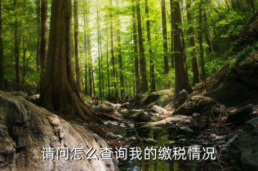 繳納稅款如何查詢，請(qǐng)問怎么查詢我的繳稅情況