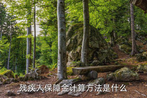 廣西殘疾人保障金如何計算，殘疾人保障金怎么計算