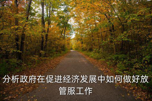 如何做好國稅系統(tǒng)的放管服工作，分析政府在促進(jìn)經(jīng)濟(jì)發(fā)展中如何做好放管服工作