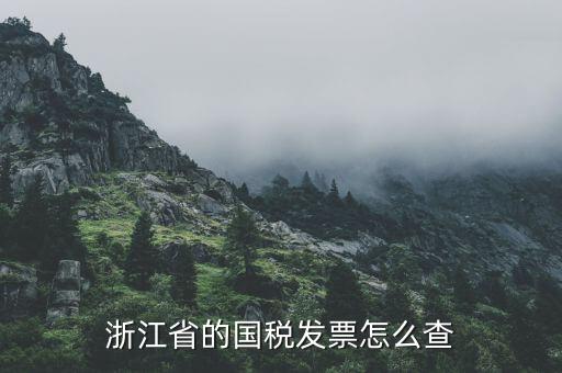 浙江的定額發(fā)票如何查詢，浙江省的國稅發(fā)票怎么查