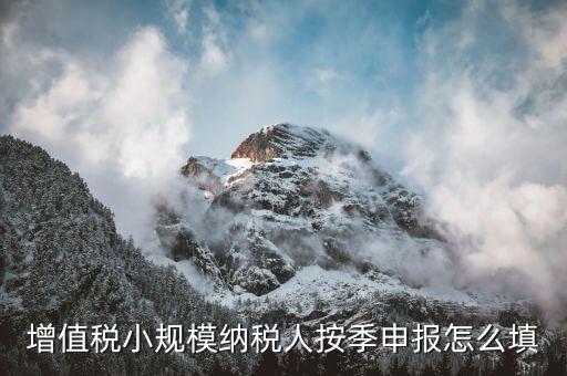 小規(guī)模納稅人如何按季申報(bào)，增值稅小規(guī)模納稅人按季申報(bào)怎么填