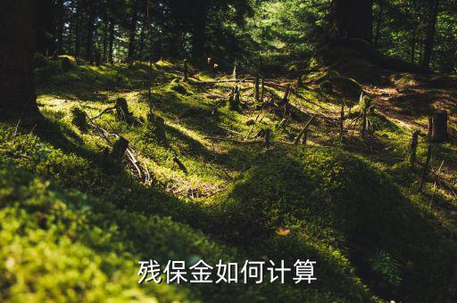 2016年杭州殘疾人保障金如何計算方法，殘疾人保障金計算方式