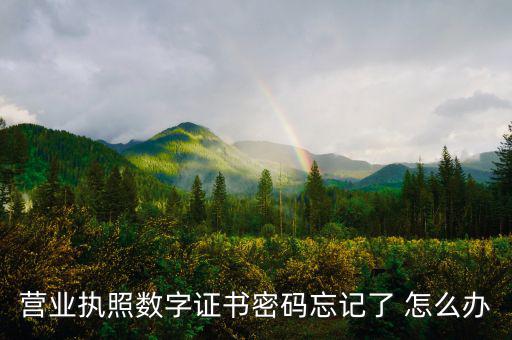 如何找回?cái)?shù)字證書(shū)密碼，營(yíng)業(yè)執(zhí)照數(shù)字證書(shū)密碼忘記了 怎么辦