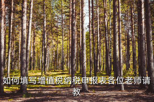 增值稅納稅申報(bào)表如何填報(bào)，增值稅申報(bào)表如何填寫