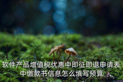 即征即退的退稅申請表如何填寫，軟件產(chǎn)品增值稅優(yōu)惠中即征即退申請表中繳款書信息怎么填寫預算