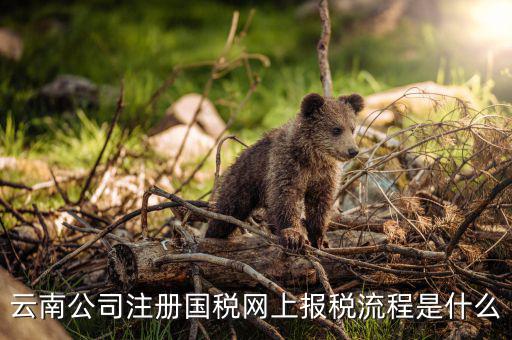 如何進(jìn)入云南網(wǎng)上稅務(wù)申報(bào)系統(tǒng)，如何進(jìn)行網(wǎng)上稅務(wù)申報(bào)