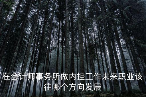 稅務(wù)內(nèi)控工作如何，如何搞好稅務(wù)所管理員內(nèi)控機(jī)制建設(shè)