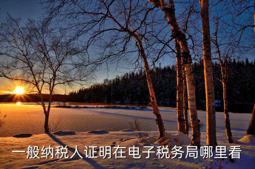 電子稅務(wù)局如何查詢稅務(wù)登記證，一般納稅人證明在電子稅務(wù)局哪里看