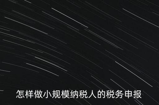 怎樣做小規(guī)模納稅人的稅務(wù)申報
