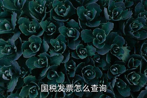 深圳市國稅局郵寄發(fā)票如何查詢，國稅發(fā)票怎么查詢