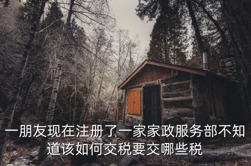 一朋友現(xiàn)在注冊(cè)了一家家政服務(wù)部不知道該如何交稅要交哪些稅