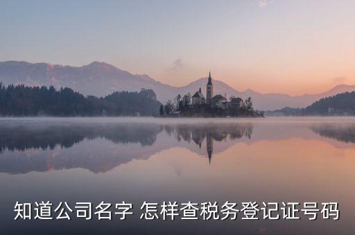 公司國(guó)稅編號(hào)如何查詢系統(tǒng)，公司的稅務(wù)登記證號(hào)怎么查詢
