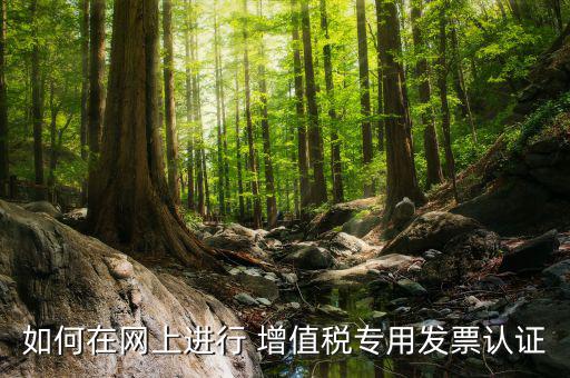 增值稅專用票如何在網(wǎng)上申請，購買增值稅專用發(fā)票要先在網(wǎng)上怎么操作