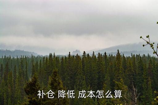 補(bǔ)倉(cāng)成本怎么能降低,股市動(dòng)態(tài)分析