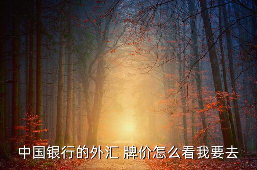 中國(guó)銀行的外匯 牌價(jià)怎么看我要去