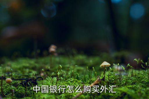 購匯怎么辦理,中國銀行辦理境內(nèi)個人結匯購匯手續(xù)