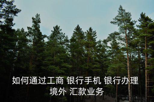 網上銀行怎么境外匯款,如何在網上理財?