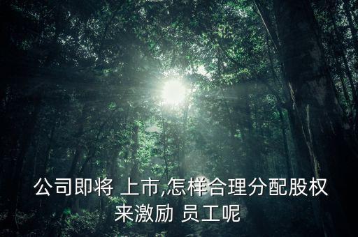  公司即將 上市,怎樣合理分配股權(quán)來激勵(lì) 員工呢