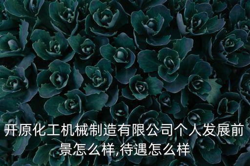 開(kāi)原化工機(jī)械制造有限公司個(gè)人發(fā)展前景怎么樣,待遇怎么樣