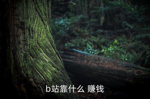 b站靠什么 賺錢(qián)