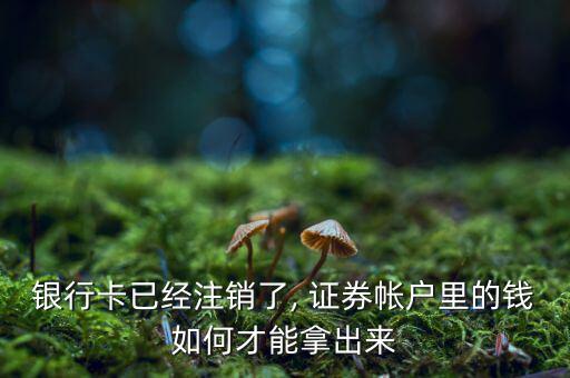 東興證券網(wǎng)上開(kāi)戶后怎么銷(xiāo)戶,東興證券開(kāi)戶后如何登錄?