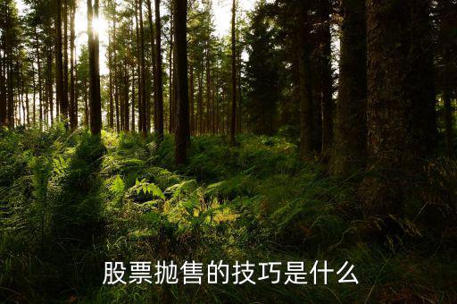 股票怎么拋出,選好股票賣出股票比買(mǎi)什么股票更重要