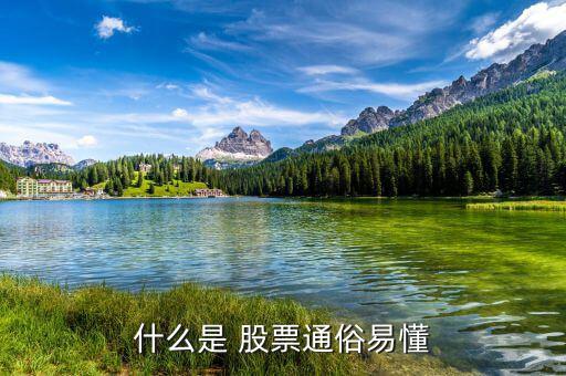 怎么懂股票,股票基礎(chǔ)、股票定投、投資書籍等資源免費(fèi)下載