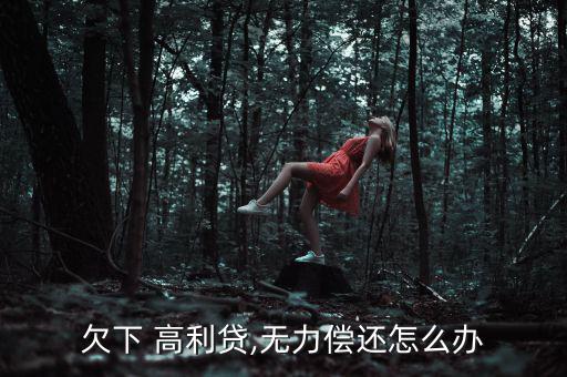 合肥欠高利貸怎么辦,高利貸被禁貸款利率不得違反國家有關(guān)規(guī)定
