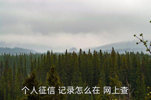 網(wǎng)上怎么樣查信用記錄,個(gè)人信用報(bào)告可在14或24小時(shí)內(nèi)查看