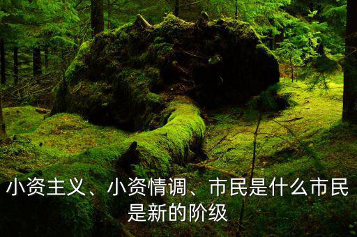 小資主義、小資情調(diào)、市民是什么市民是新的階級