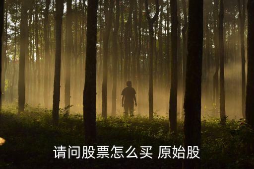請(qǐng)問(wèn)股票怎么買(mǎi) 原始股