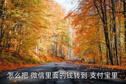 微信里的錢怎么提現(xiàn)支付寶,微信零錢如何轉賬支付寶余額