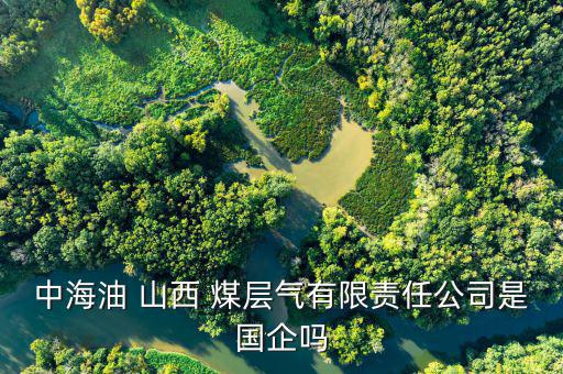 中海油 山西 煤層氣有限責任公司是國企嗎