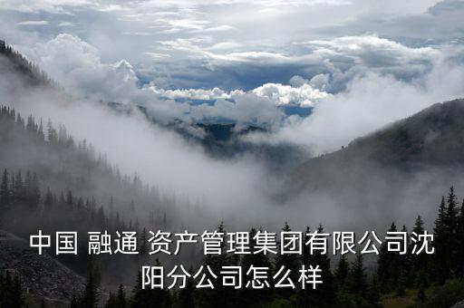中國(guó) 融通 資產(chǎn)管理集團(tuán)有限公司沈陽分公司怎么樣