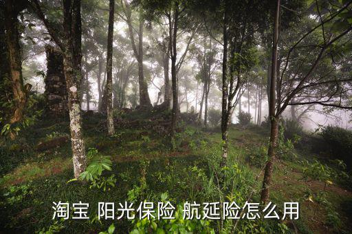 淘寶 陽光保險(xiǎn) 航延險(xiǎn)怎么用